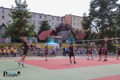IMG 4361 (Large)