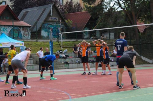 IMG 4377 (Large)