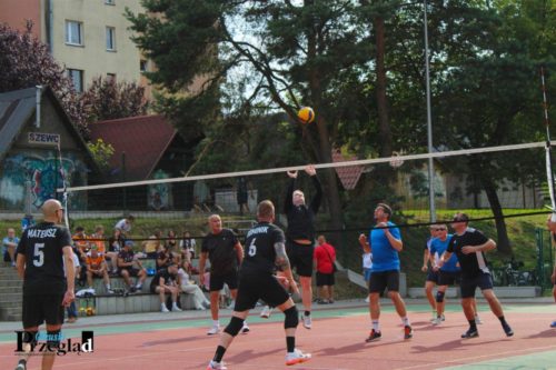 IMG 4406 (Large)