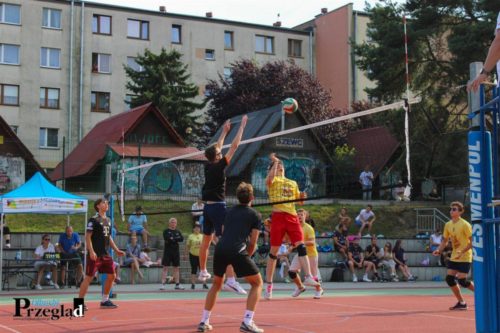 IMG 4436 (Large)
