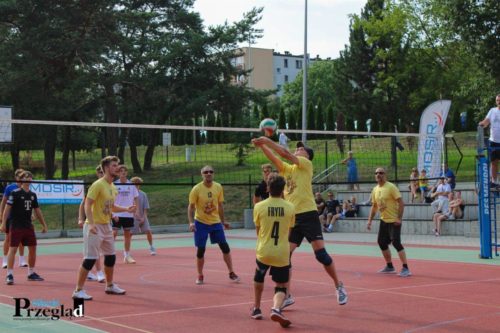 IMG 4479 (Large)