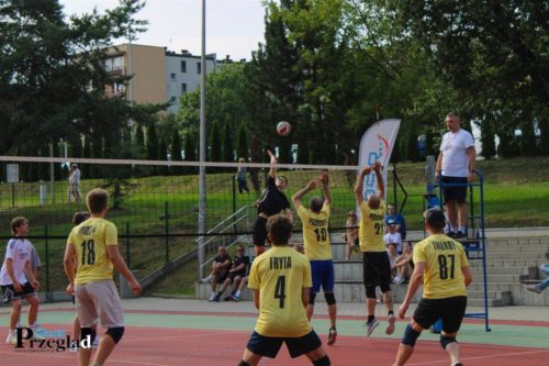 IMG 4481 (Large)