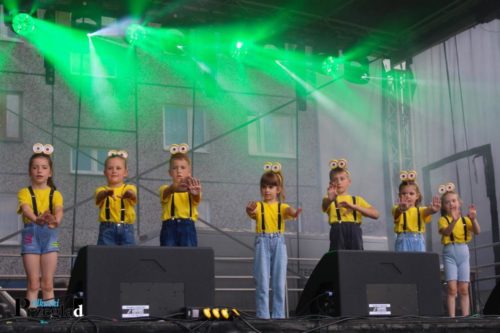 IMG 0362 (Large)