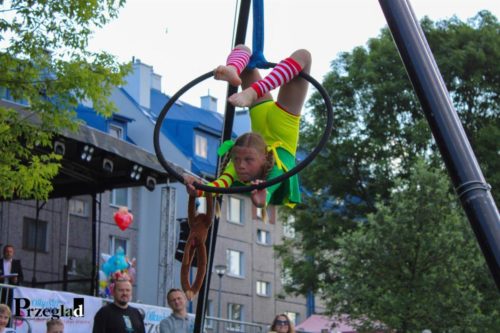 IMG 0433 (Large)