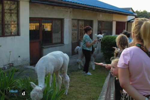 IMG 0887 (Large)