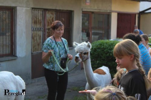 IMG 0888 (Large)