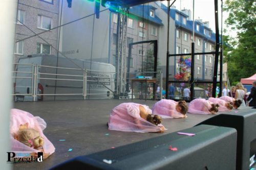 IMG 9619 (Large)