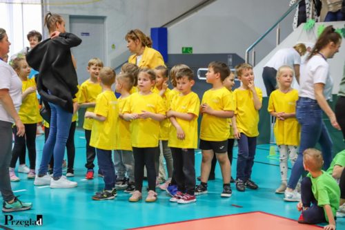 DominikaRz  (118) kopia