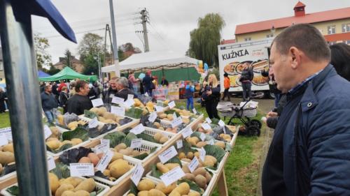 XVII Święto Ziemniaka w gminie Trzyciąż057