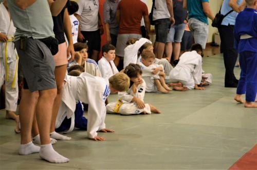 XIII Międzynarodowy Turniej Judo w Wolbromiu - niedziela 12.09.2021