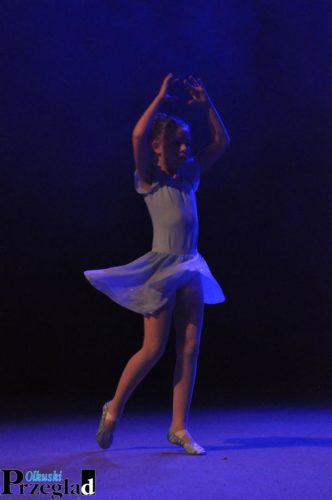 DSC 0151 kopia (Large)